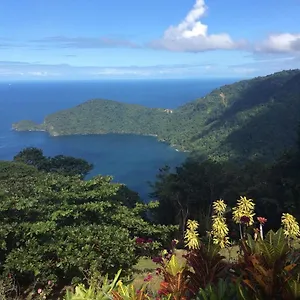 https://mahogany-ridge.comcaribbean.com
